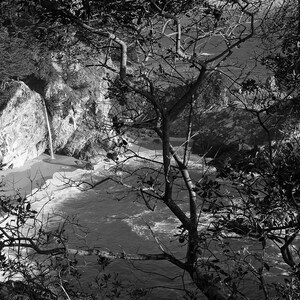 McWay Falls, Big Sur, Tree, Black and White, Waterfall, Landscape Print, Nature Photography, Southern California Photo, Coast, Sunset