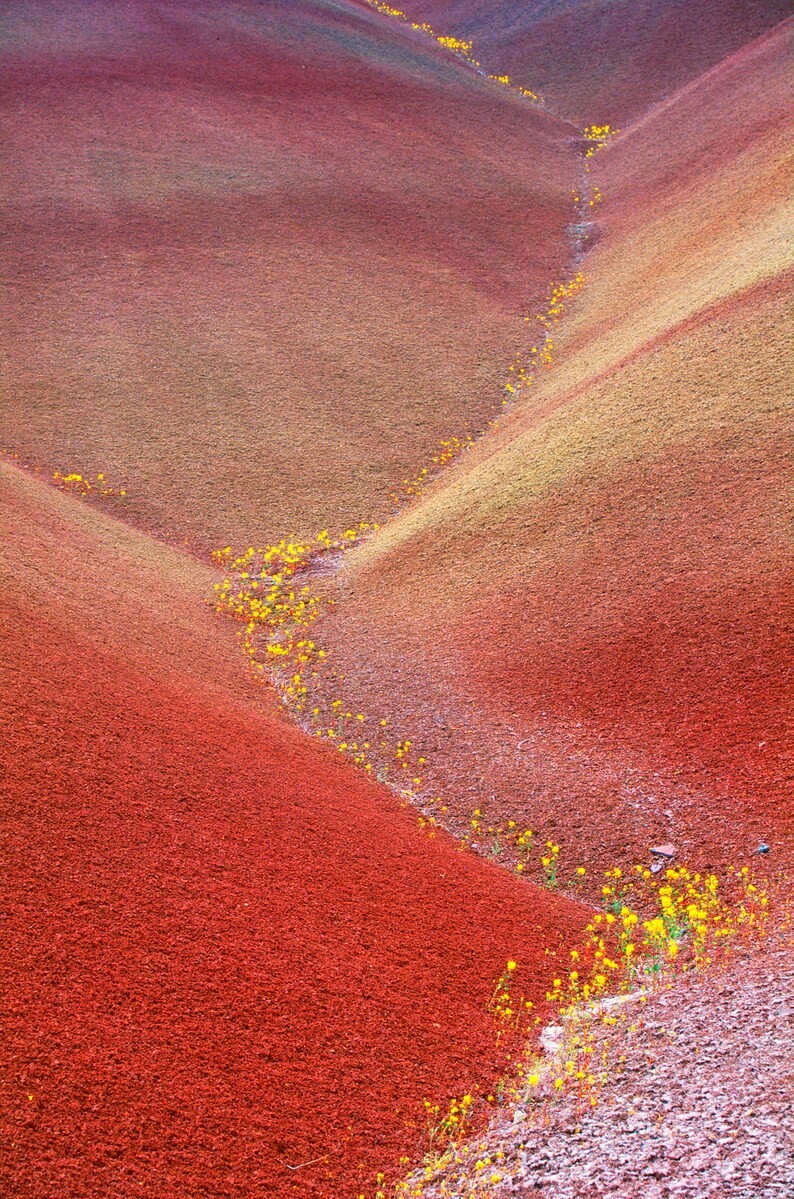 Wall Art John Day Painted Hills Oregon Rainbow Hill Abstract Flower Nature Photography Landscape Print Desert Photo