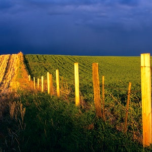 Field Sunset, Wall Art, Landscape Print, Nature Photography, Eastern Washington Photo, Spokane, Storm, Fence, Contrast