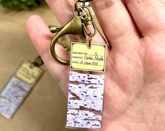 Llavero portaobjetos de microscopio con impresión de músculo cardíaco (2")