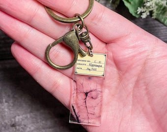 Pyramidal Neuron Microscope Slide Printed Keychain, Microscopy Keychain, Histology Keychain, Neuroscience Keychain, Acrylic Keychain - 2"