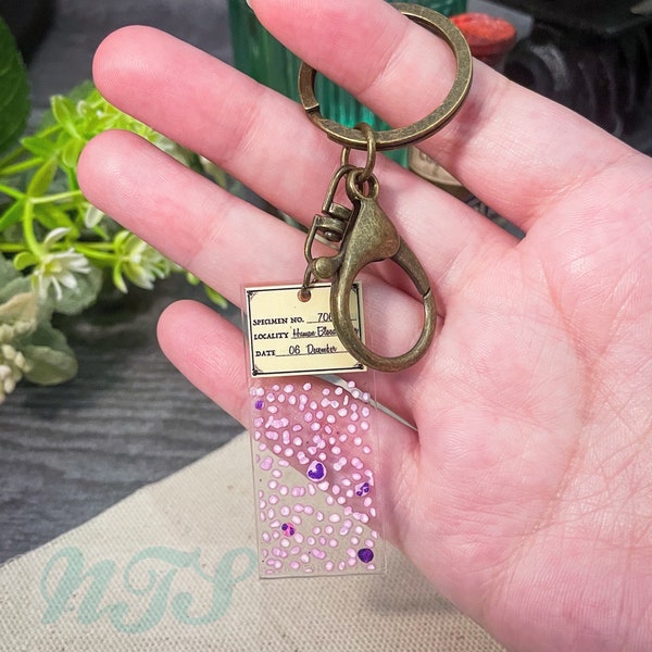 Blood Smear Microscope Slide Printed Keychain, Microscopy Keychain, Histology Keychain, Hematology Keychain, Clear Acrylic Keychain - 2"