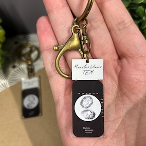 May include: A keychain with a brass-colored clasp and ring. The attached tag features the text "Measles Virus TEM" above a black and white image of the virus. The tag also includes the text "Electron Microscopy" and a catalog number.