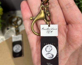 Llavero de portaobjetos de microscopio con reproducción impresa en acrílico transparente TEM del virus del sarampión (2")