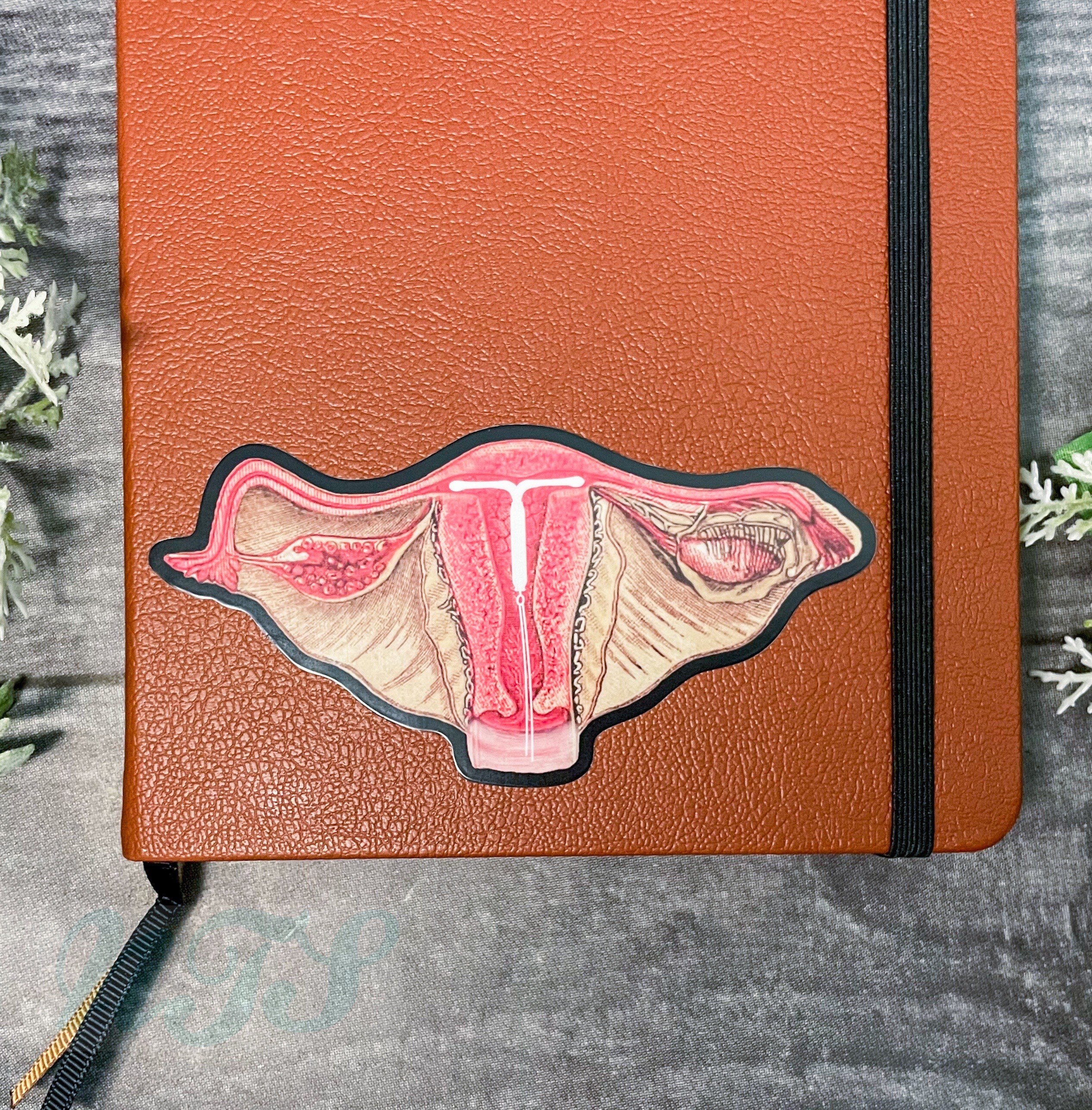 IUD Uterus Sticker, Pro Choice Sticker, Contraceptive Sticker, Birth ...