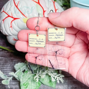 Pyramidal Neuron Microscope Slide Earrings, Printed Acrylic Earrings, Neuroscience Earrings, Histology Earrings, BrainEarrings - 2"