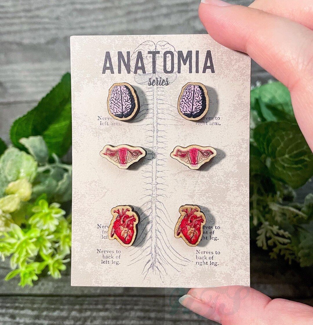 Mini Organ Stud Earring Set 0.5 Set of 3 Pairs of Earrings Etsy