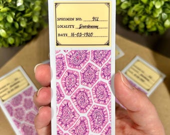 Adhesivo para histología del intestino delgado (duodeno), vinilo satinado para interiores y exteriores, 10 cm