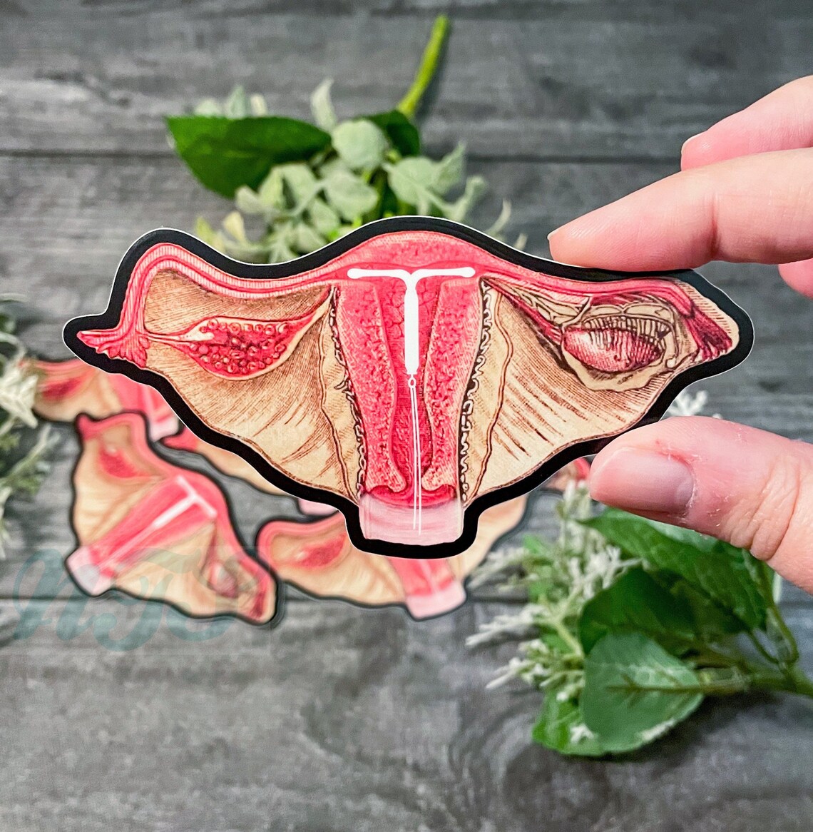 IUD Uterus Sticker, Pro Choice Sticker, Contraceptive Sticker, Birth ...