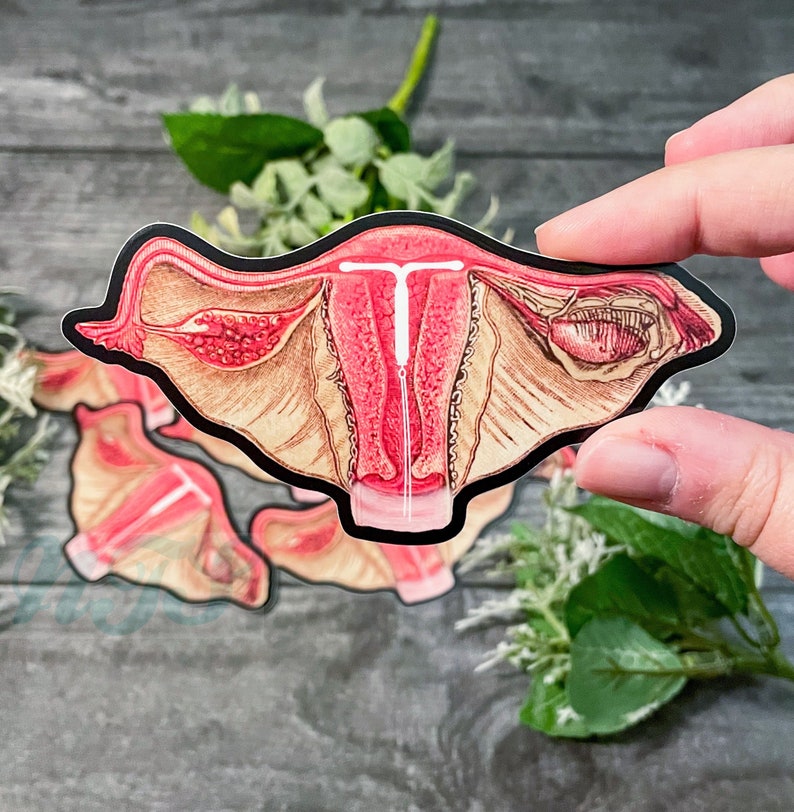 Contraception Sticker IUD Uterus Sticker, Pro Choice Sticker, Contraceptive Sticker, Birth ...