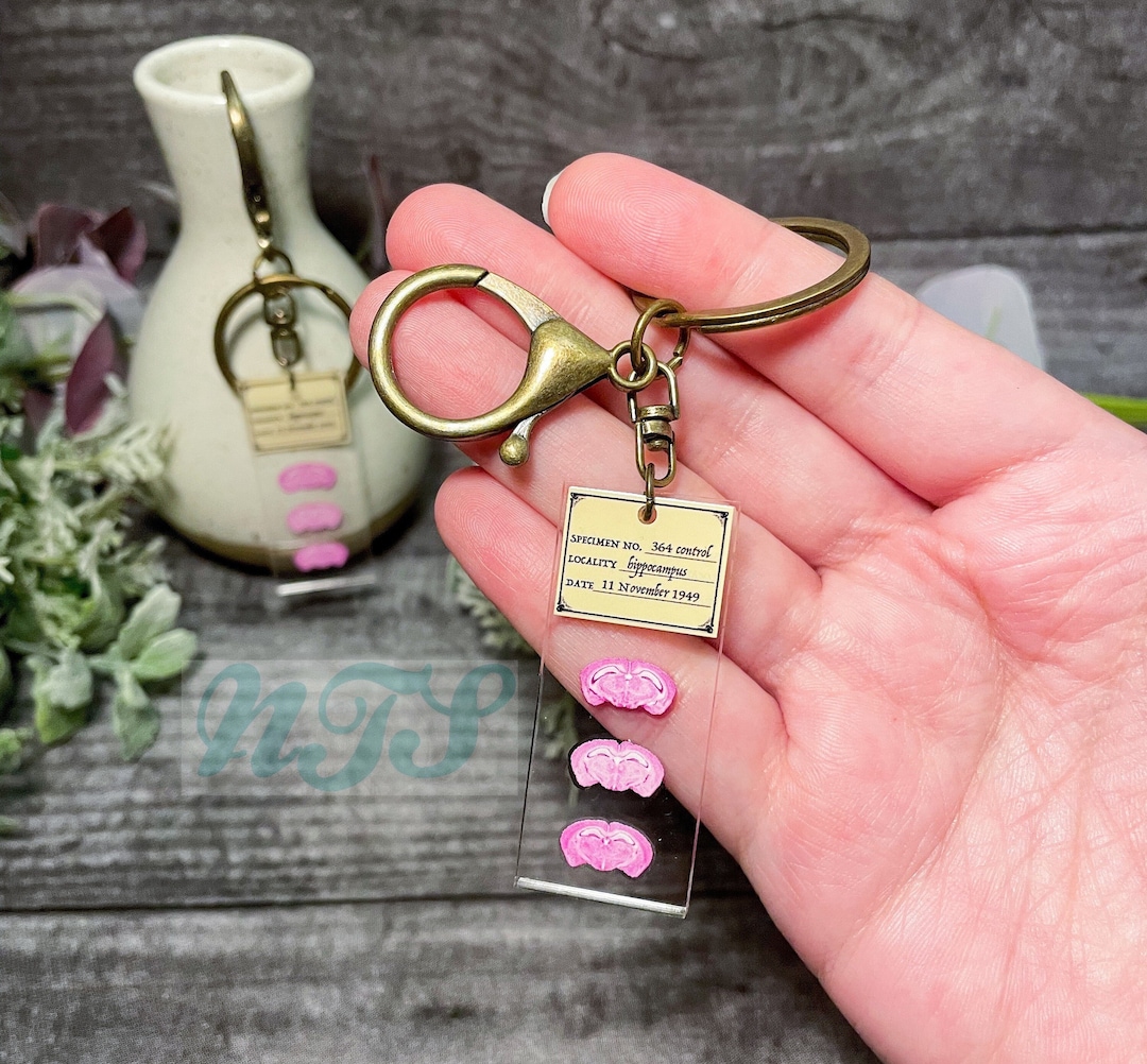 Mouse Brain Printed Histology Keychain - 2