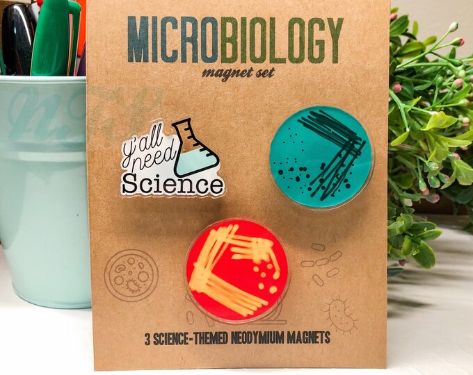 Microbiology Set, Science Lab Agar Plate