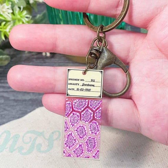 Duodenum Small Intestine Clear Acrylic Printed Histology Keychain - 2"