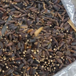Sweet bitter leaf seeds