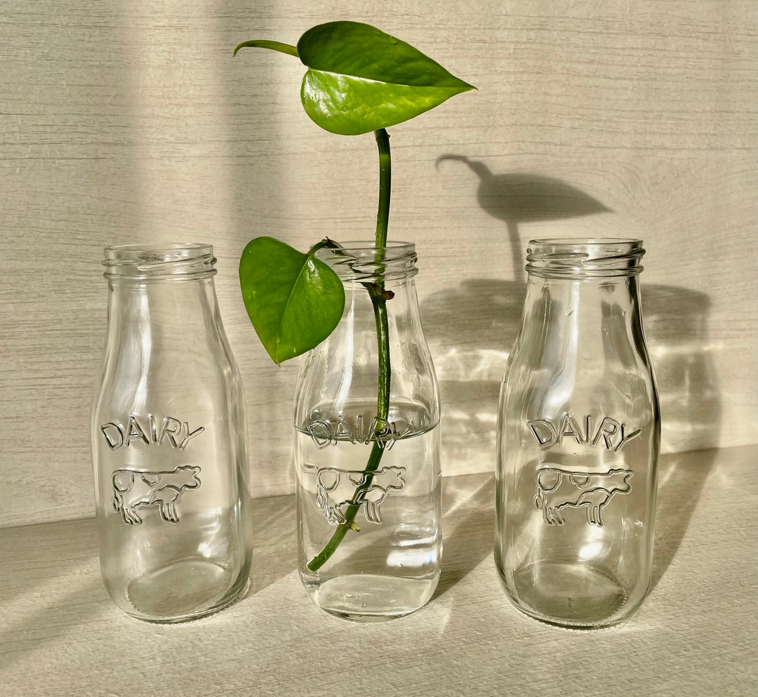 Propagation Bottle Propagation Station Glass Bottle Etsy