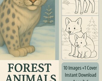 Woodland Animal Coloring Pages, Forest Animal Coloring Book PDF, Printable Kids Coloring Book, Preschool & Toddler Activity