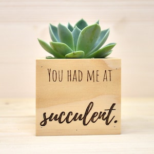 You Had Me At Succulent | Succulent Wood Planter
