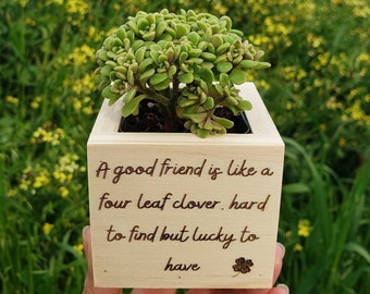 A Friend Is Like A Four Leaf Clover Succulent Wood Planter