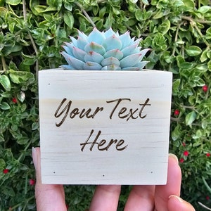May include: A small wooden planter box with the text "Your Text Here" engraved on the front. The planter is filled with a light green succulent plant.