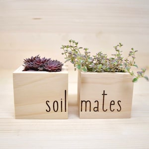 Soilmates Wood Planters | Succulent Planters