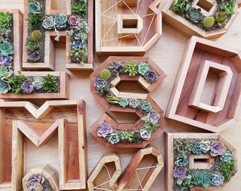 12" Letter Planter - Succulent Arrangement - DIY Kit