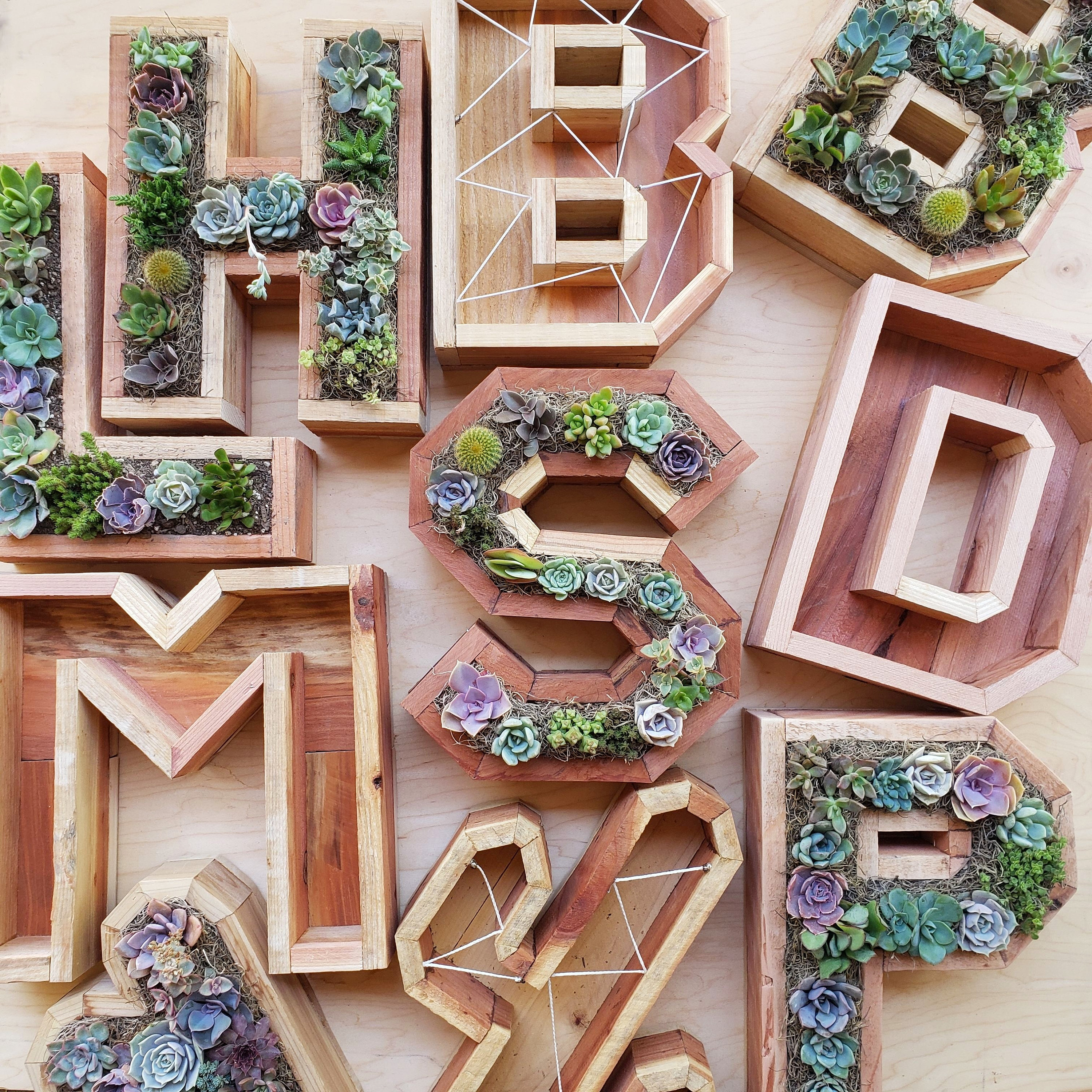 3D Printed Letters Custom Decorative Sign 3D Alphabet Fillable Letters  Hollow Letters Charcuterie Board Snack Tray Planter Wall Hanger 