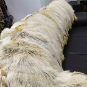 Echte Koyote Pelzdecke werfen natürliche Farbe, Hauswärmer