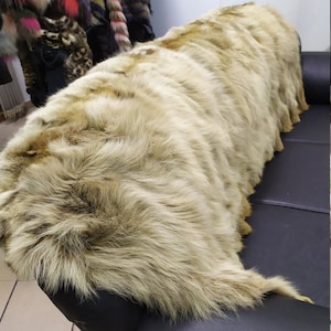 Echte Koyote Felldecke werfen haki Farbe, Hauswärmer