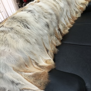Echte Koyote Pelzdecke werfen natürliche Farbe, Hauswärmer