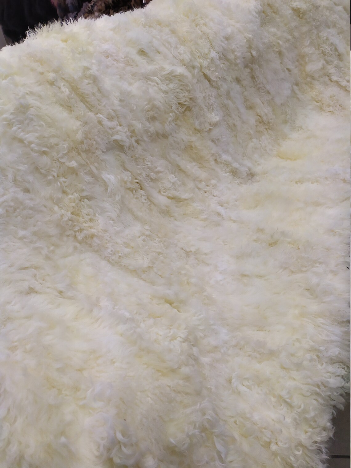 Real Mongolian Lamb Fur Blanket Throw White & Ecru Color Etsy