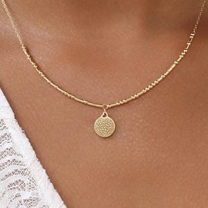 Personalized Morse Code Necklace with Pet Nose Print Charm | Hidden Message Jewelry | Heart Connector Necklace | Pet Memorial Gift