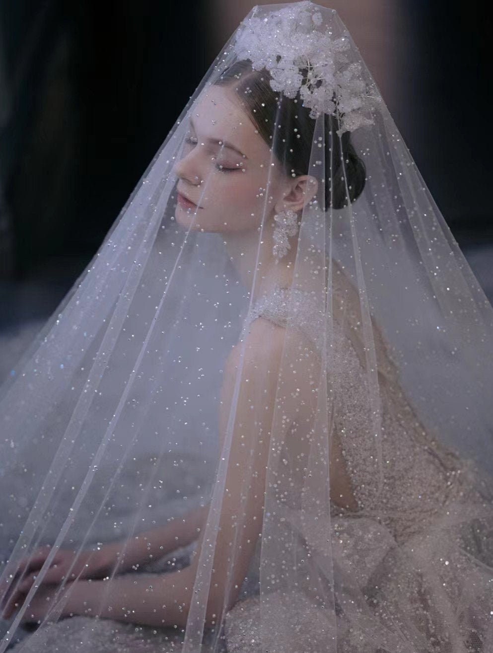 Elegant White Veil With Crystal Drops Ivory Crystal Pearl Bridal Drop Veil: White English Tulle  main image 3