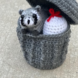 Raccoon in Trashcan