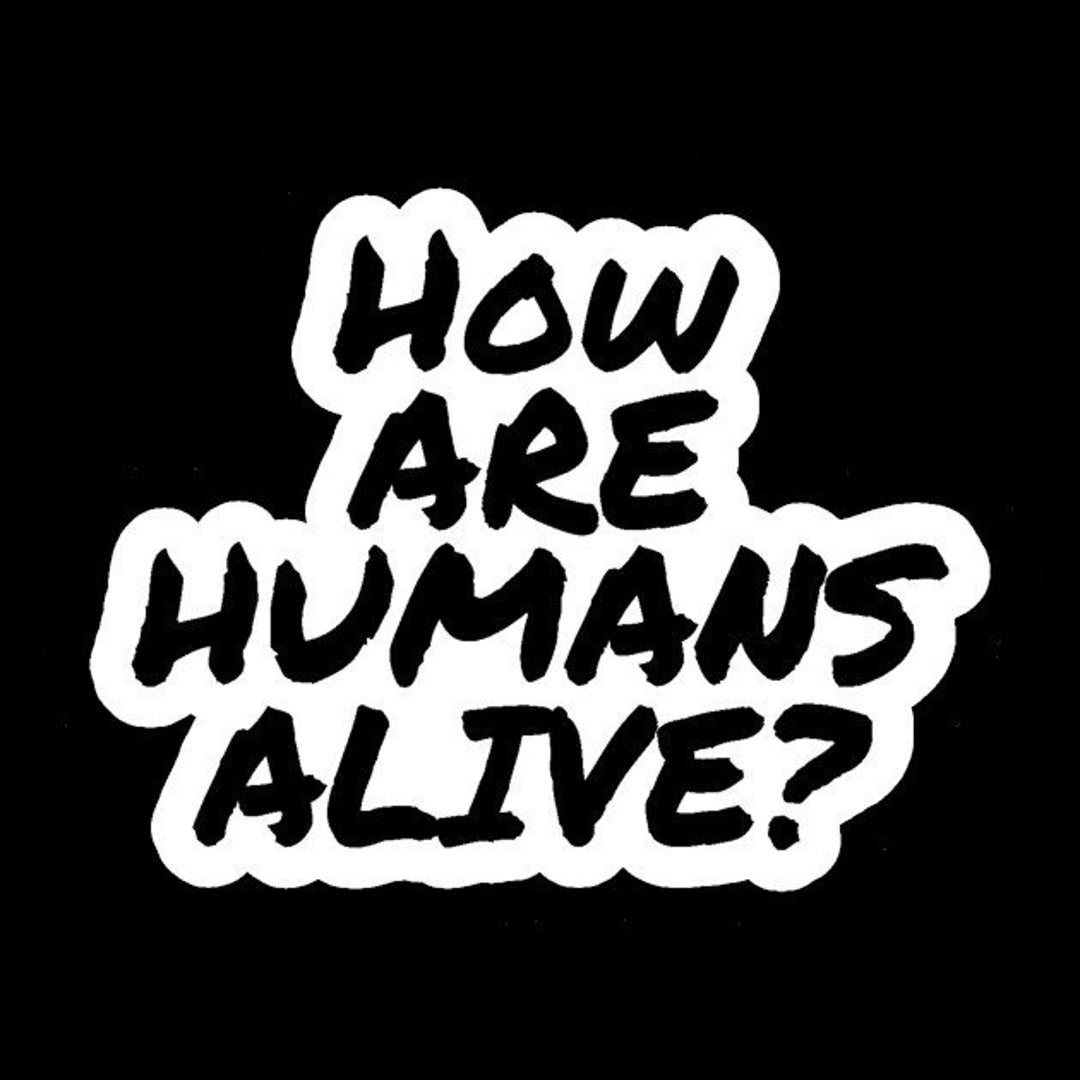 How Are Humans Alive Brooklyn 99 Decal White Choose Size Etsy