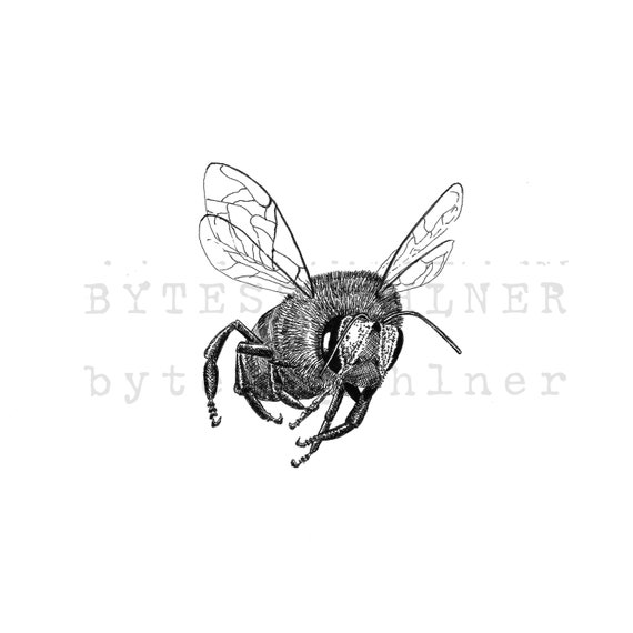 Fichier Numerique Realiste Abeille Dessin A Lencre Imprimable Etsy
