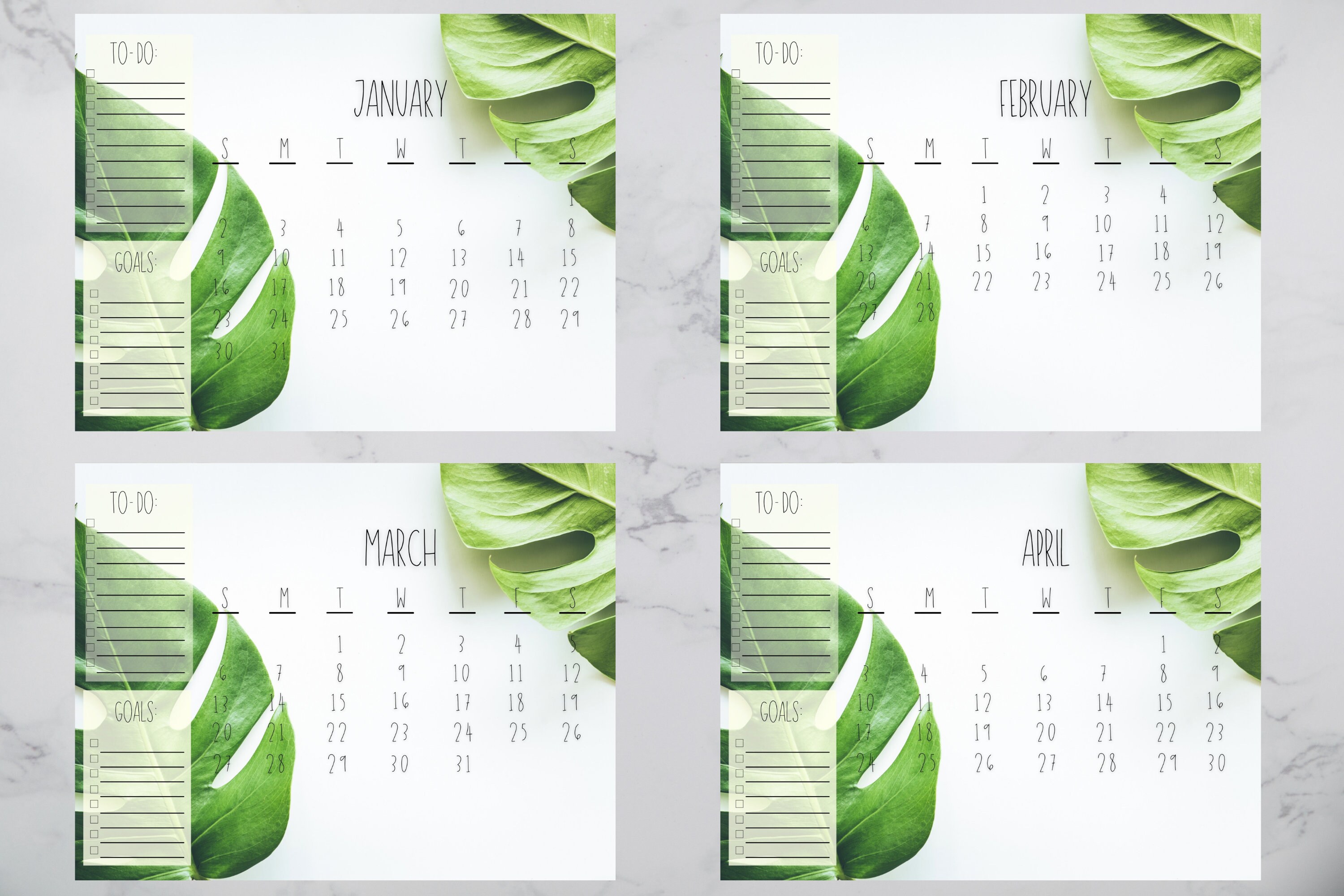 2022 monstera printable calendar minimalist calendar 12 etsy