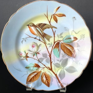 Exquisite China Painted Bird Plate - 8&quot;