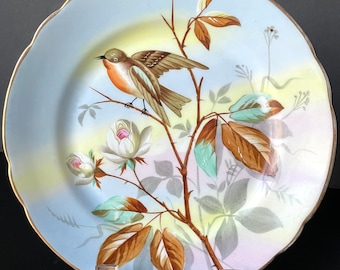 Exquisite China Painted Bird Plate - 8"