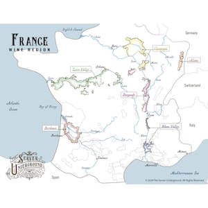 82 cartes de formation en oenologie pour sommelier de niveau débutant CMS | WSET | Préparation aux études | Cartes d'entraînement | Régions viticoles, Appellations, Guide pédagogique