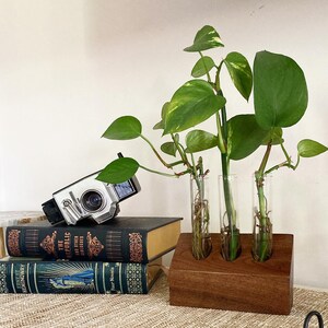 Propagation station