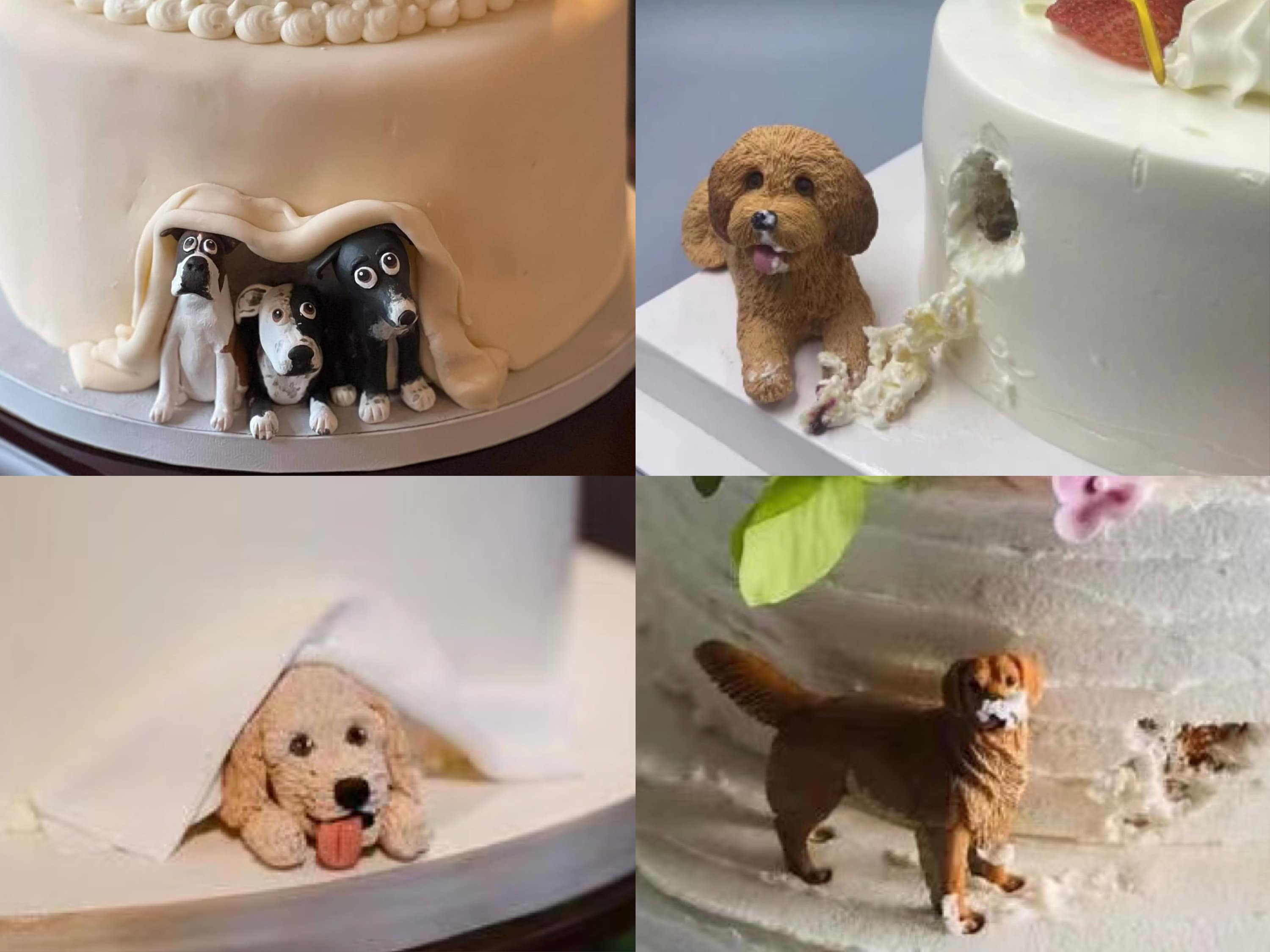dog safe fondant