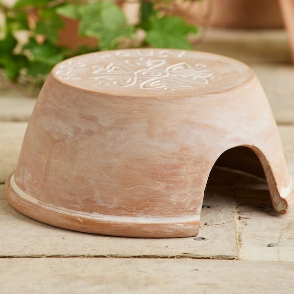 Terracotta Frog House