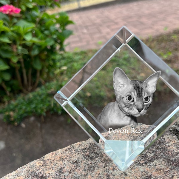 Pet Memorial Crystal Cube Etsy