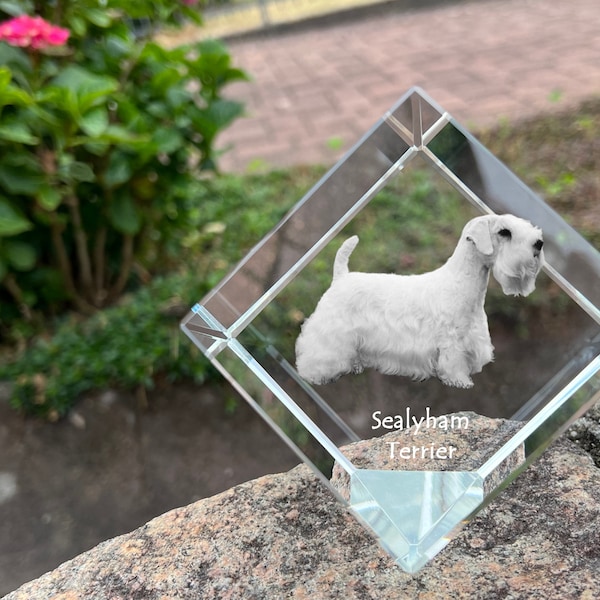 Sealyham Terrier Crystal Cube with a dog, Engraved Crystal Cube, Custom Crystal Photo frame, Crystal paperweight, Pet memorial, Your photo