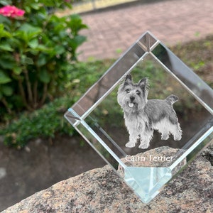 Cairn Terrier Crystal Cube met hond, gegraveerde kristallen kubus, aangepaste kristallen fotolijst, kristallen presse-papier, gedenkteken huisdier, Jouw foto