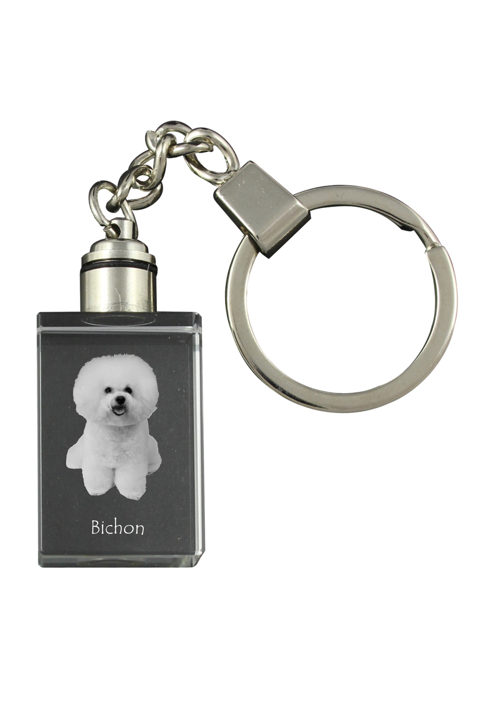Bichon Crystal Keyring with a dog, Engraved Crystal Key Ring, Custom Keychain, Your photo