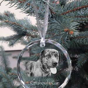 Kaufe Cartoon Hund Weihnachtsbaum Anhänger Acryl Weihnachtsdekoration Hund  Weihnachtsschmuck Vorhang
