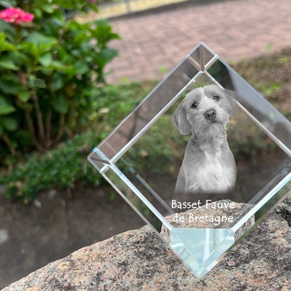 Basset Fauve de Bretagne Crystal Cube with a dog, Engraved Crystal Cube, Custom Crystal Photo frame, Crystal paperweight, Your photo