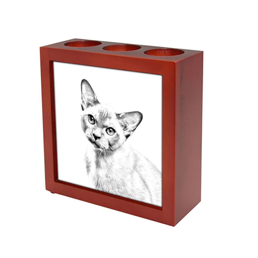 Burma Cat Pen Holder With Cat, Wooden Pencil Stand With Photo, Brush