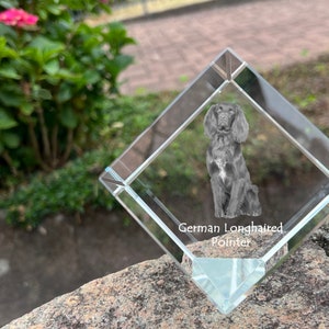 May include: A crystal paperweight with a 3D engraved image of a German Longhaired Pointer dog. The paperweight is shaped like a diamond and has a clear glass base.